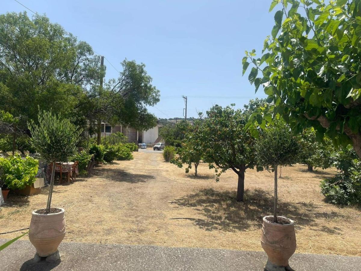 Aegean Endless Summer Villa Pefkos Pefki Exteriör bild